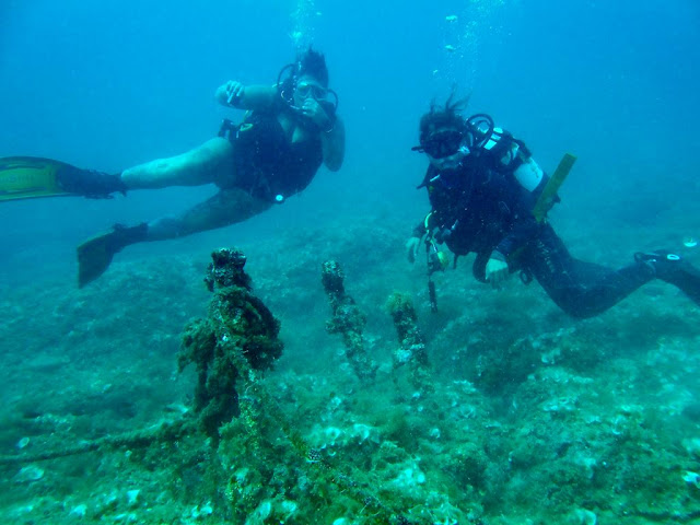 diving excursion