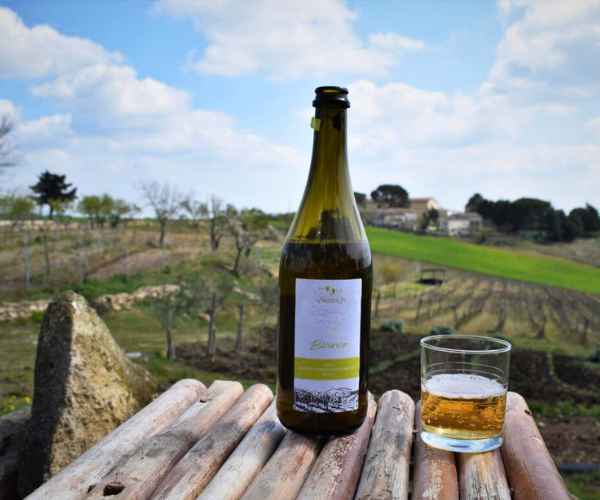 Wine tourism in Gravina