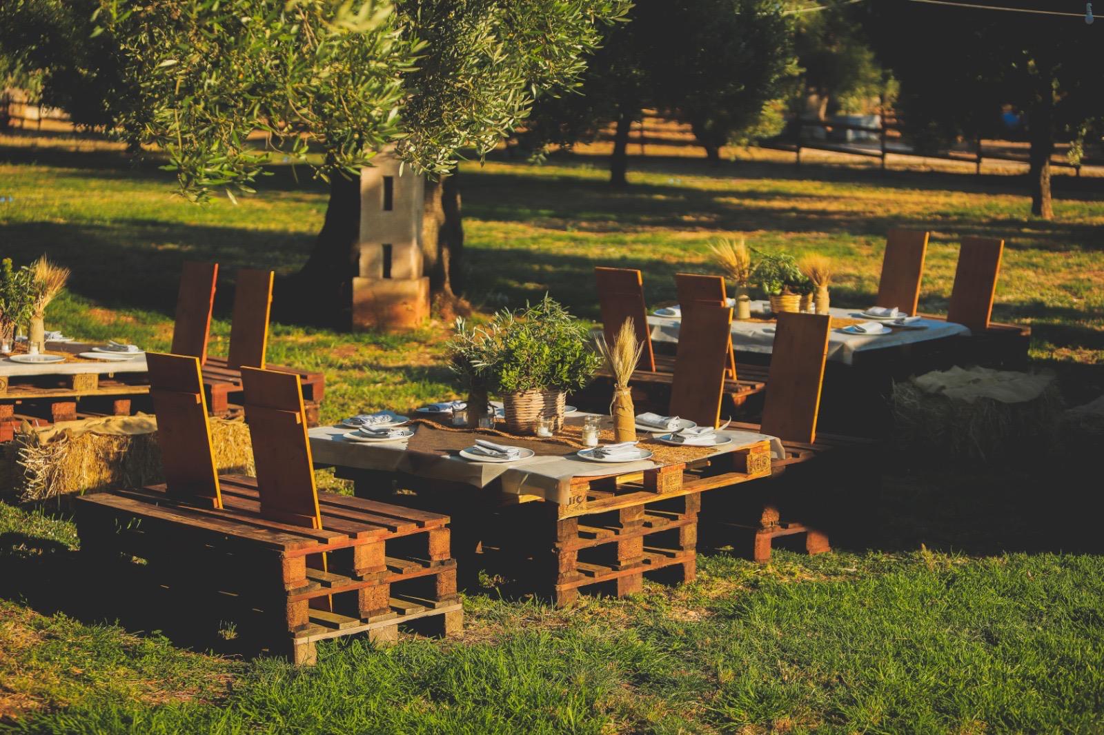 Wine and Oil Tasting in Pezze di Greco