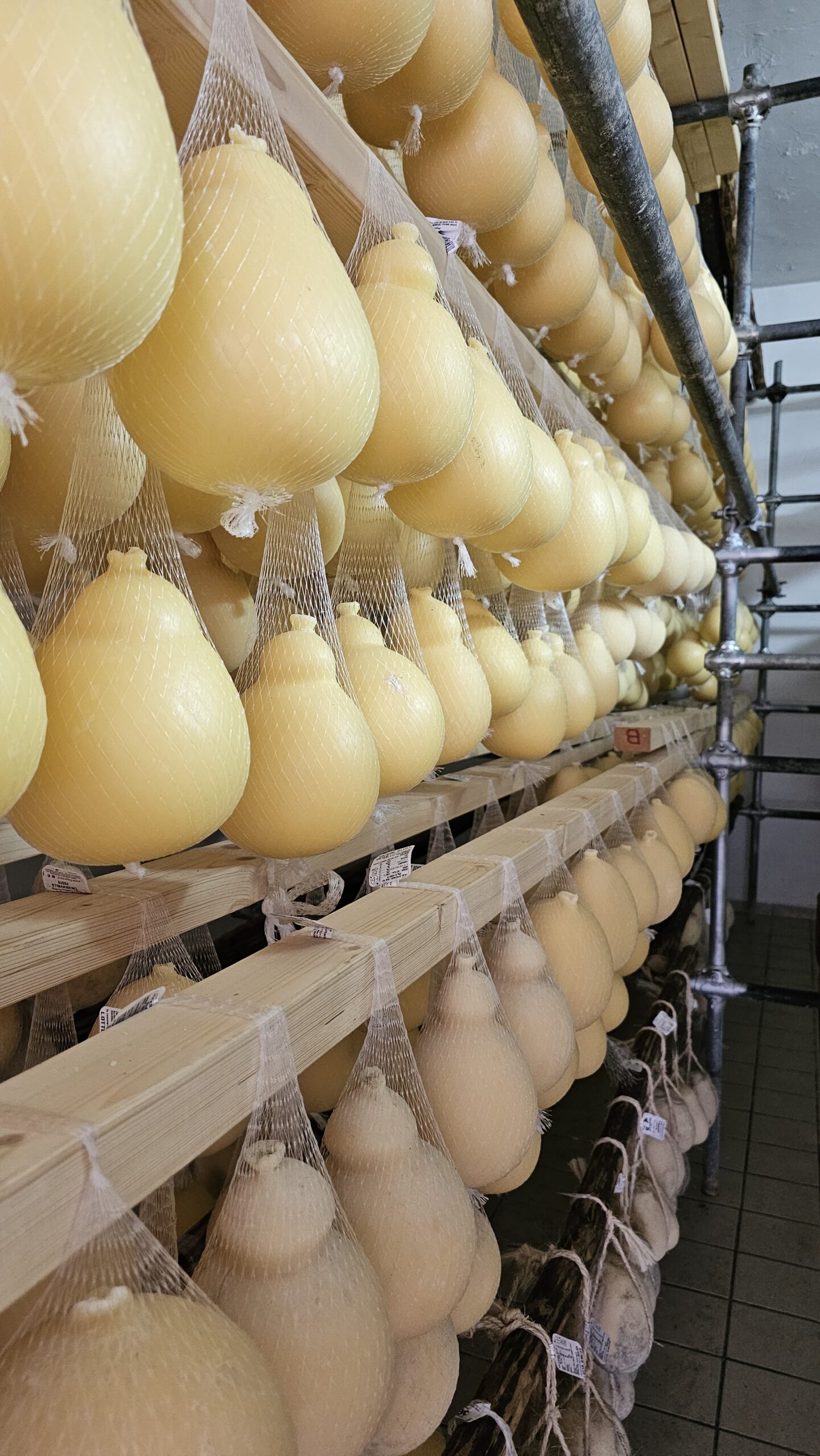 Mozzarella Experience in Ceglie Messapica