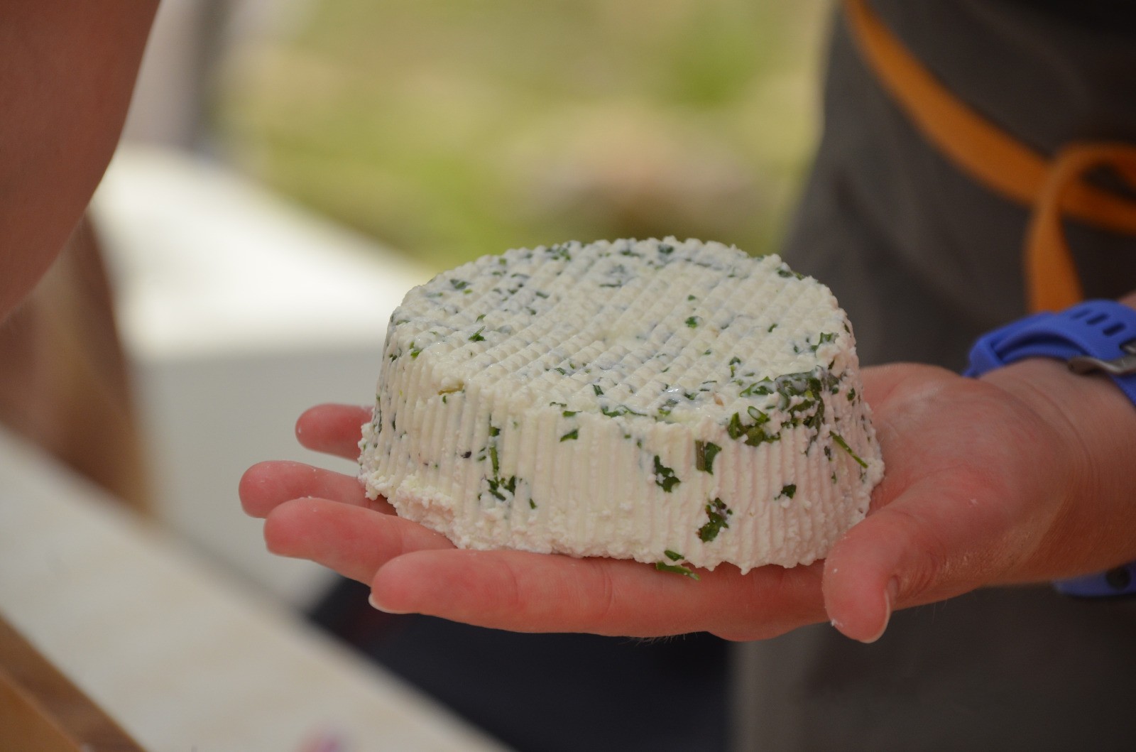 Local cheese workshop in Ceglie Messapica, in a trullo